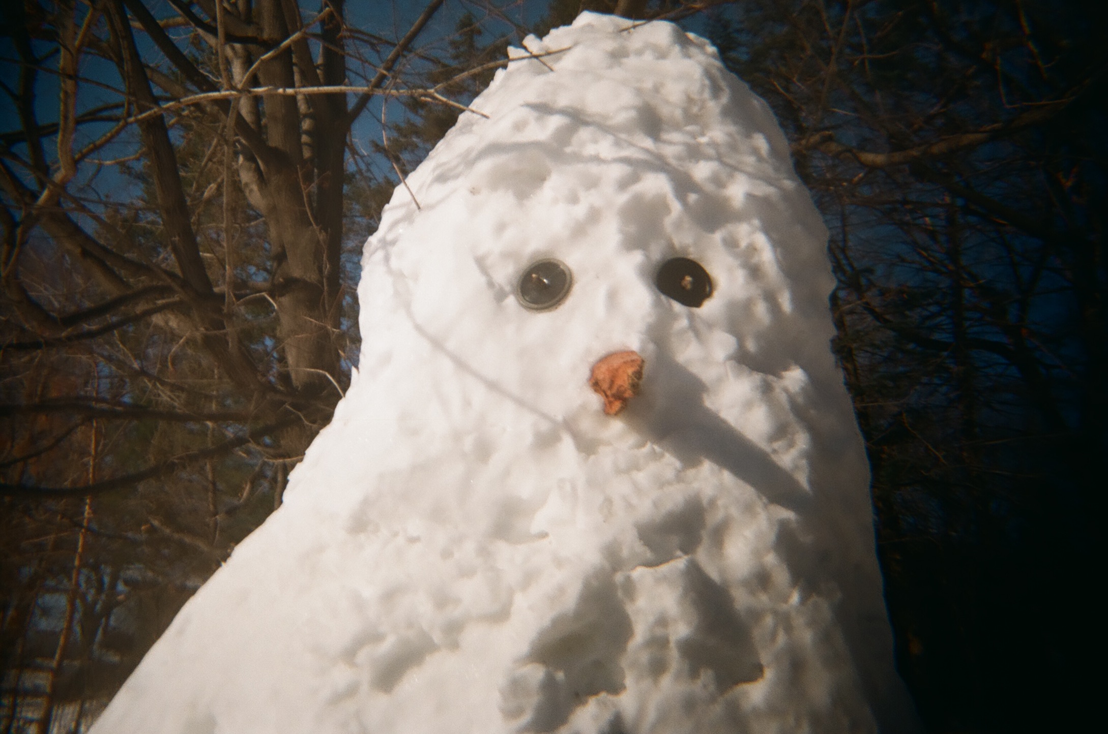 Close-up film photograph of a snowman with dark button eyes and a leaf nose against bare winter branches